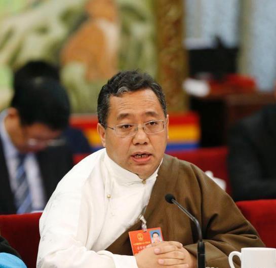 Tibet delegation to NPC annual session holds plenary meeting