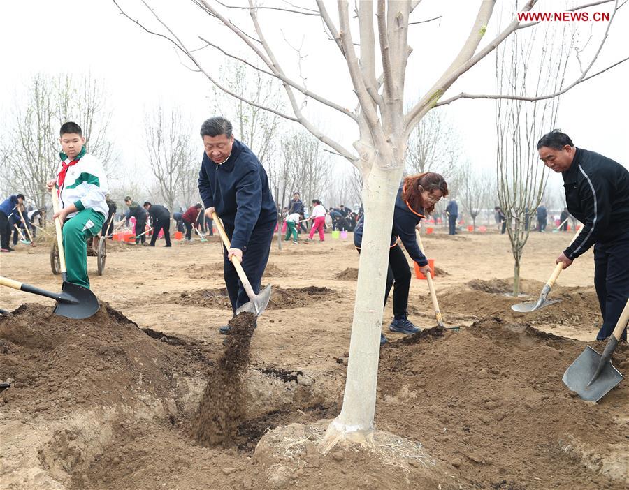 All should treat ecological environment as important as our life: Xi Jinping 