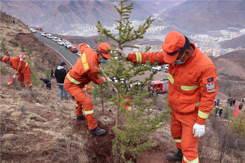西藏昌都：森林消防植树忙