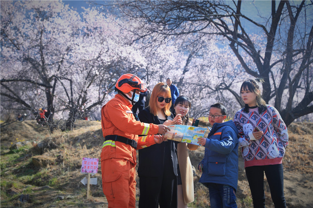 西藏林芝：桃花林中说防火