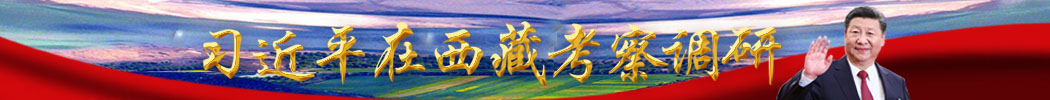 習近平總書記在西藏考察調研