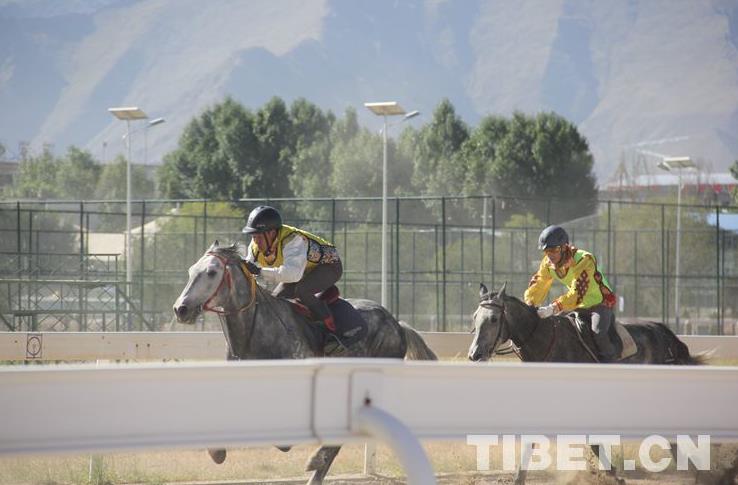 多图直击西藏自治区第五届民族传统体育运动会民族马术赛