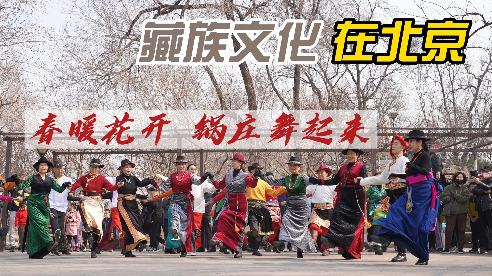 【藏族文化在北京】春暖花开 锅庄舞起来