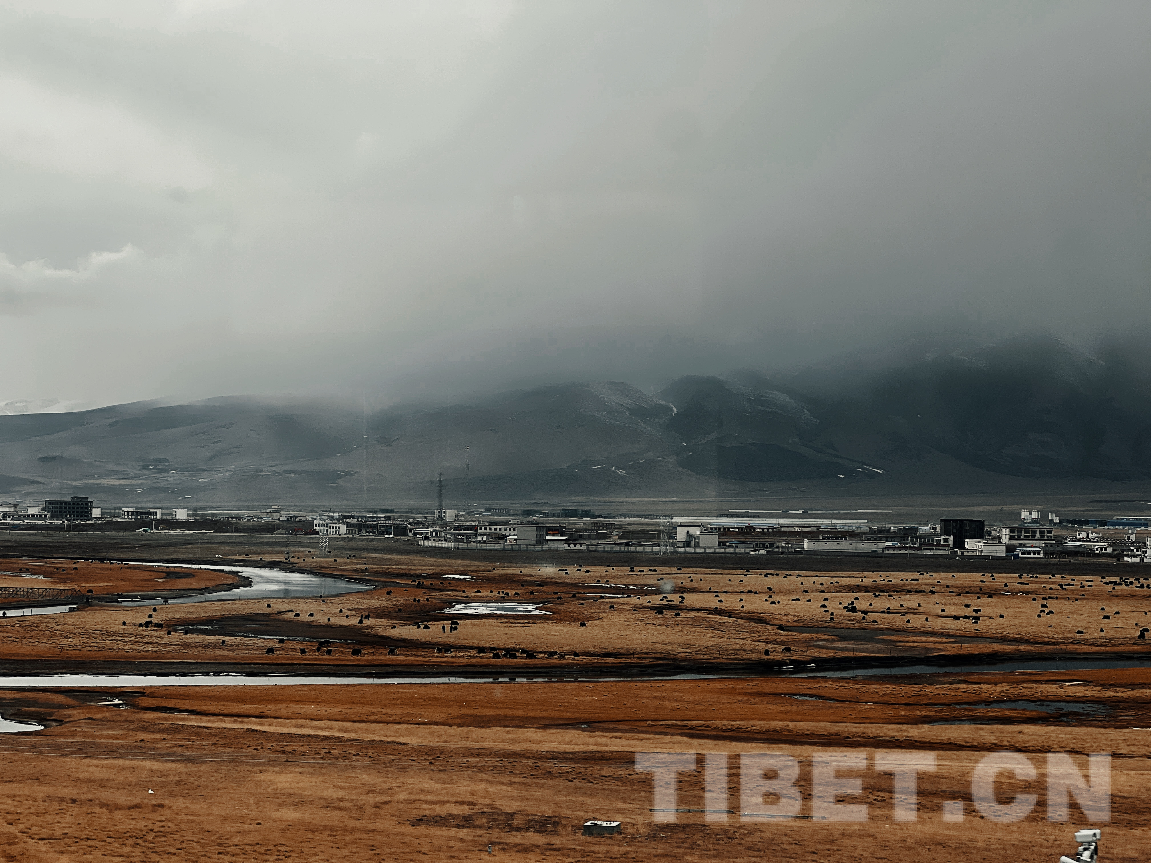 藏北高原披上银装 火车窗户成一幅幅动人的“画”