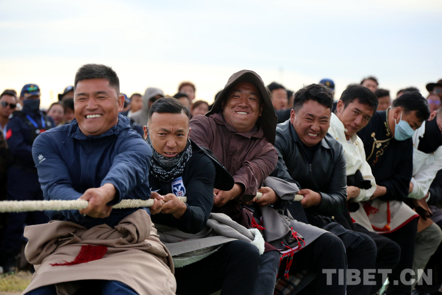图看西藏那曲2023恰青赛马节暨第二届“乡村振兴 那曲奋进”活动——体育竞技比赛