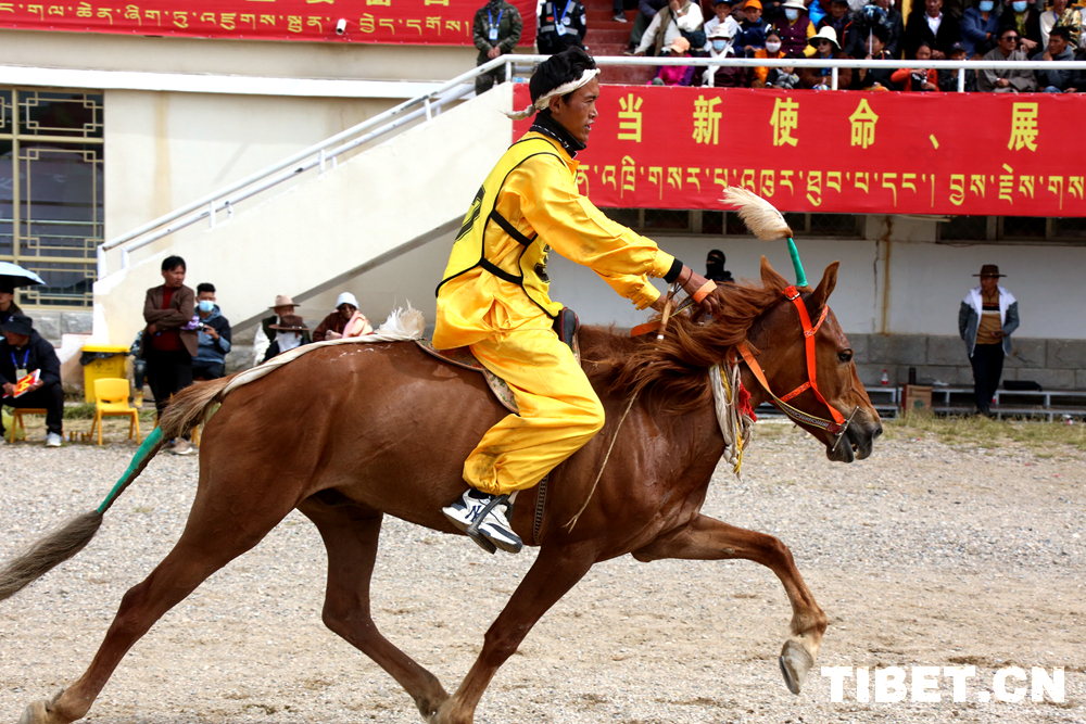 图看西藏那曲2023恰青赛马节暨第二届“乡村振兴 那曲奋进”活动——赛马