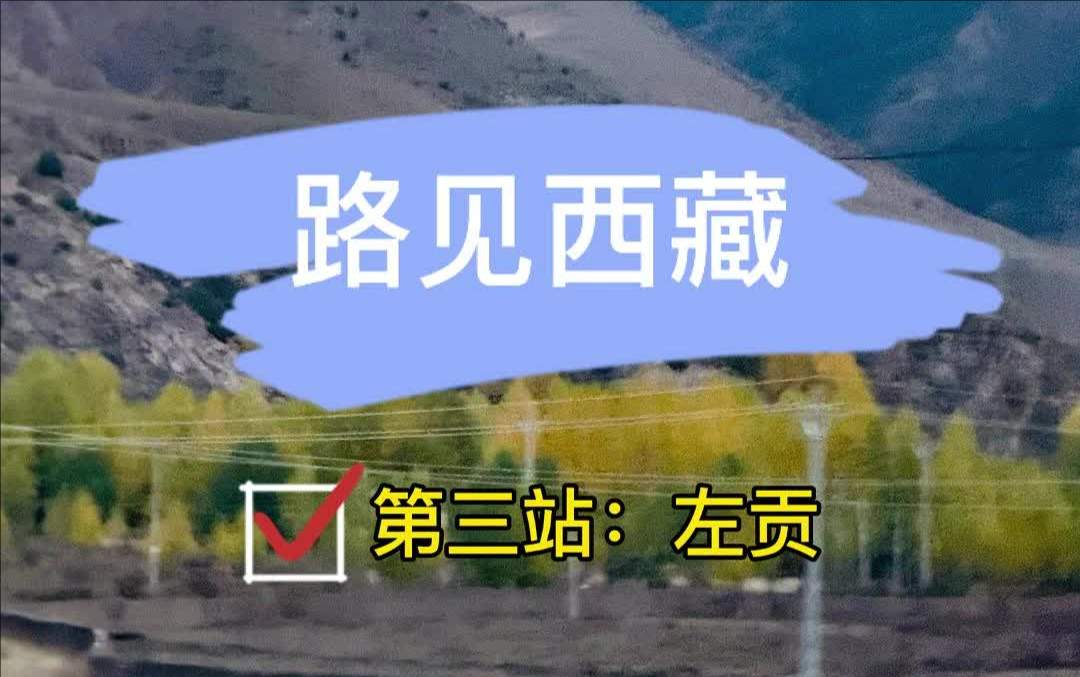 【路见西藏 中央媒体“两路”行】第三站：左贡