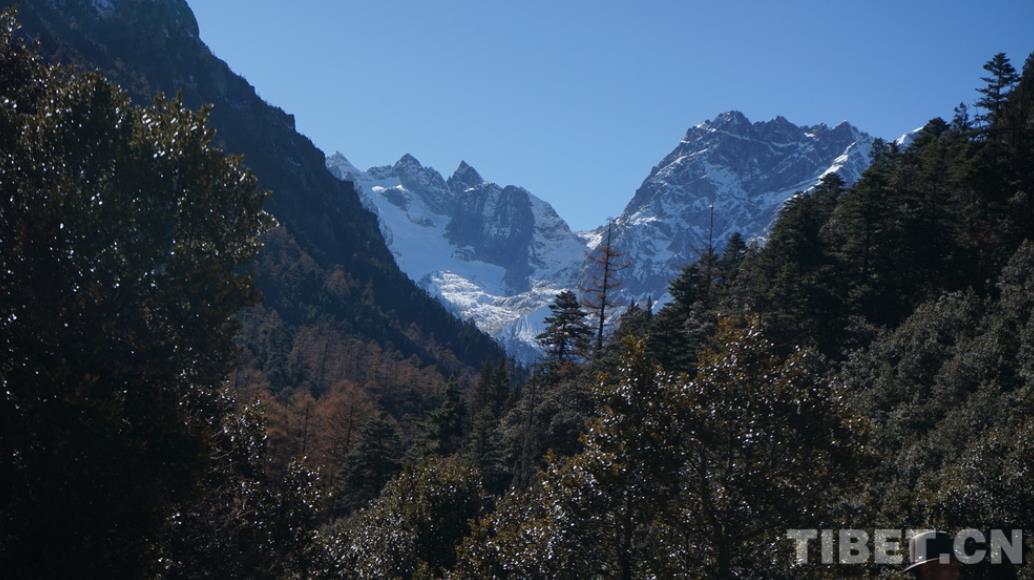 【“两路”向东 行走川滇】走进白马雪山