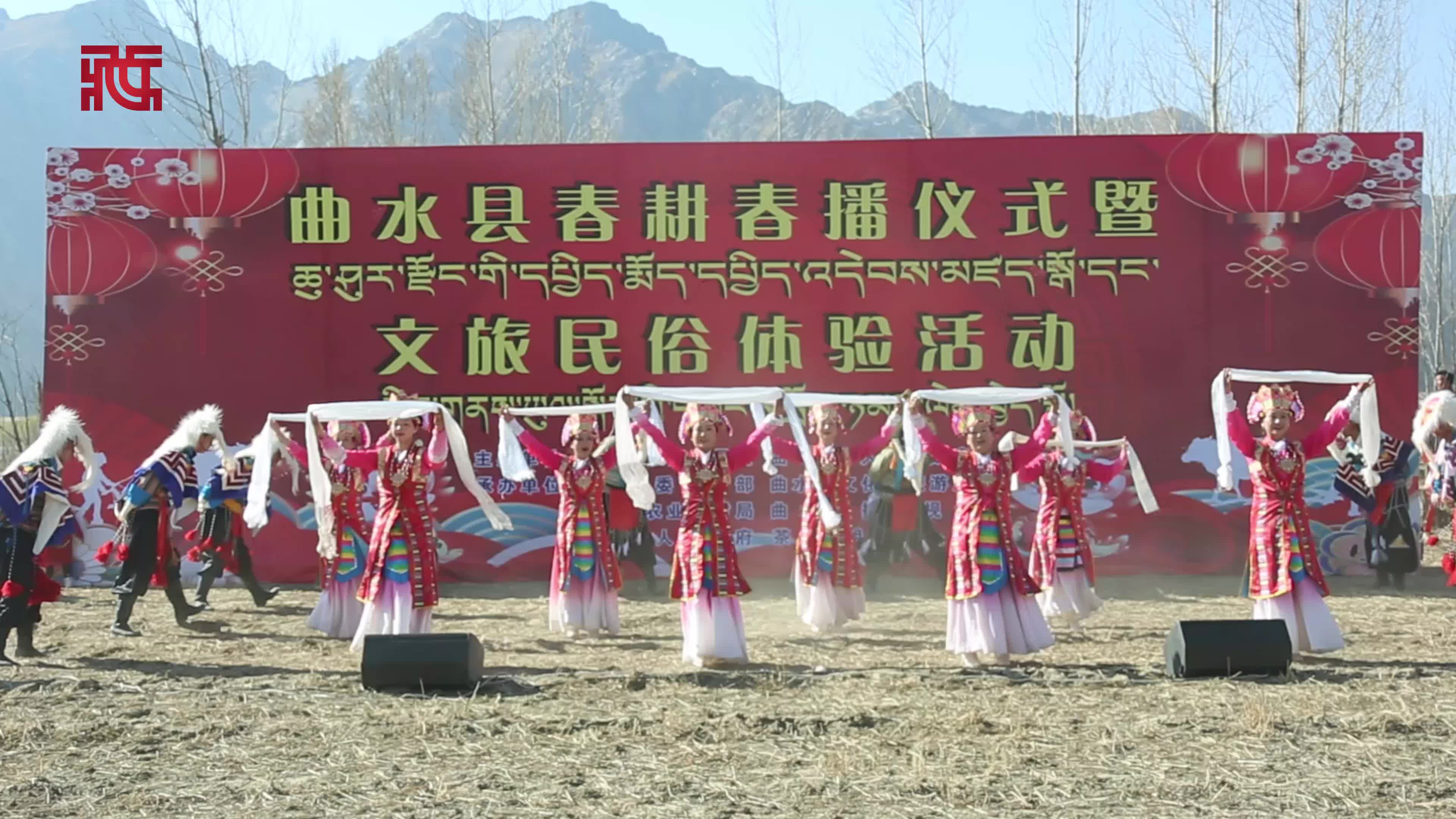 西藏曲水：耕下春天“第一犁” 种出丰收的希望