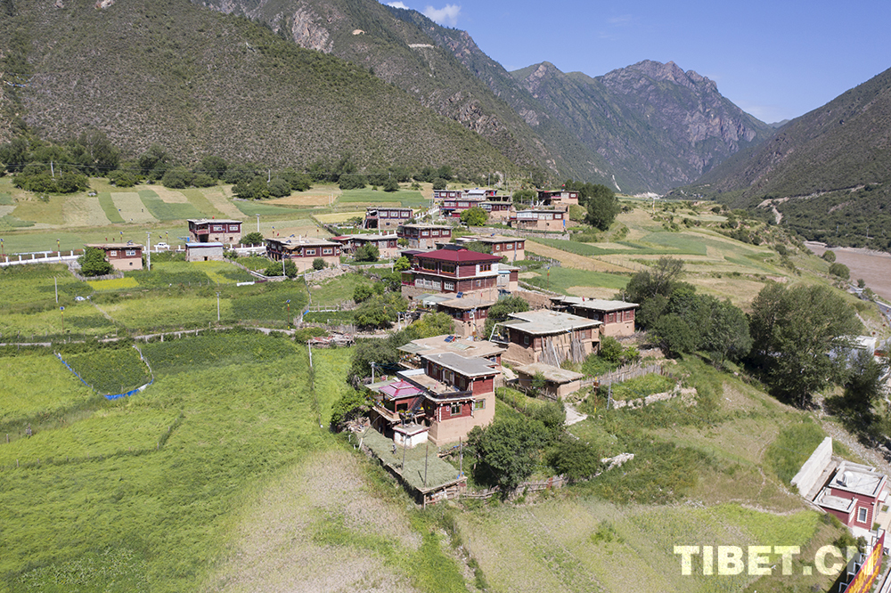 “西藏解放第一村”——岗托村
