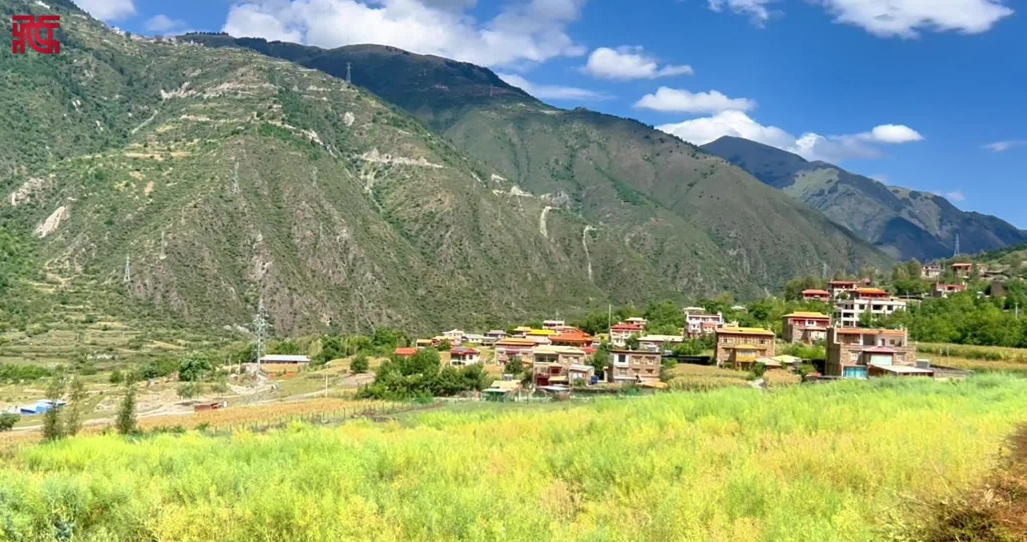 【遇见·阿坝】夏繁基地给孔龙村铺了一条造福路