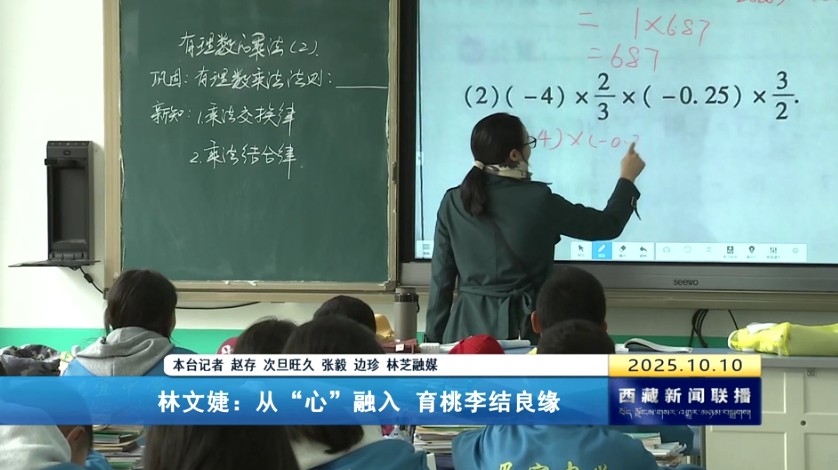 【新时代新征程新伟业·创建全国民族团结进步模范区】林文婕：从“心”融入 育桃李结良缘