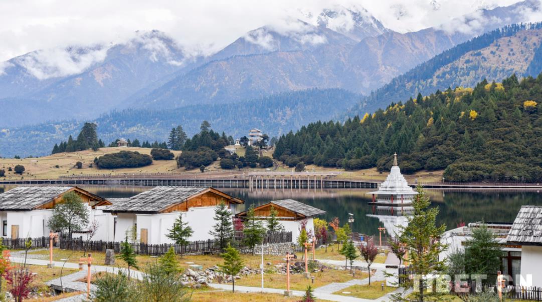 层林尽染 雪山环抱：在鲁朗欣赏一场高原牧场的秋