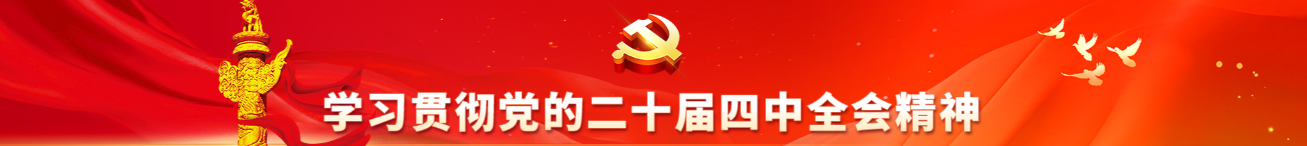 學習貫徹黨的二十屆四中全會精神