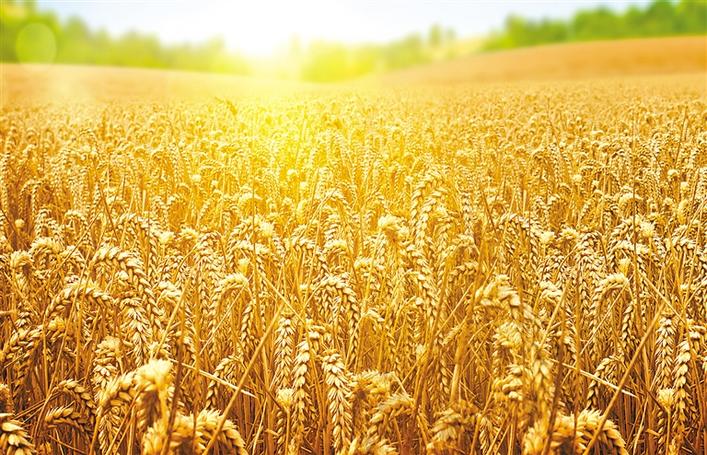 “推進中國式現代化、實現共同富裕，一個民族都不能少”