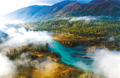 深入學(xué)習(xí)貫徹黨的二十屆四中全會(huì)精神 為“四個(gè)創(chuàng)建”凝聚民營(yíng)經(jīng)濟(jì)澎湃力量