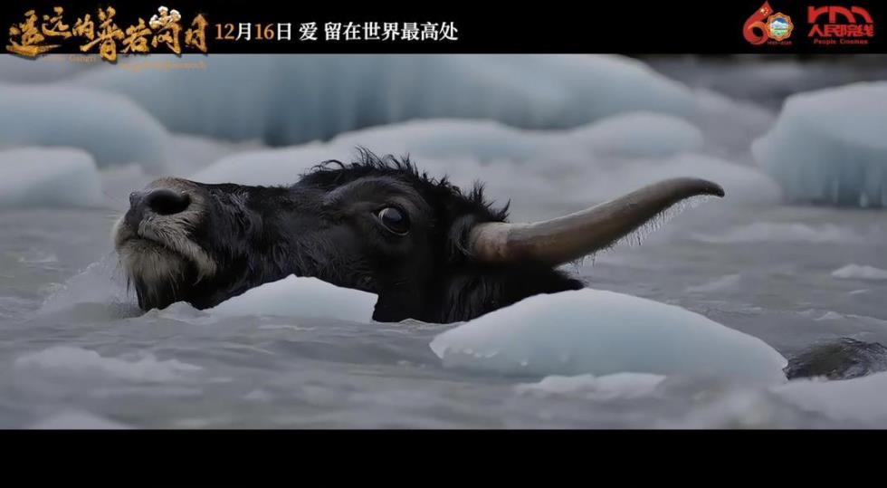 零下27度冰河拍摄！阿旺仁青：为角色不留遗憾