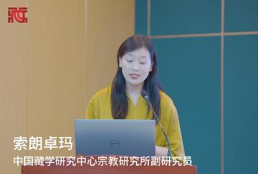 白皮书展现了西藏各项事业取得的全方位进步 历史性成就