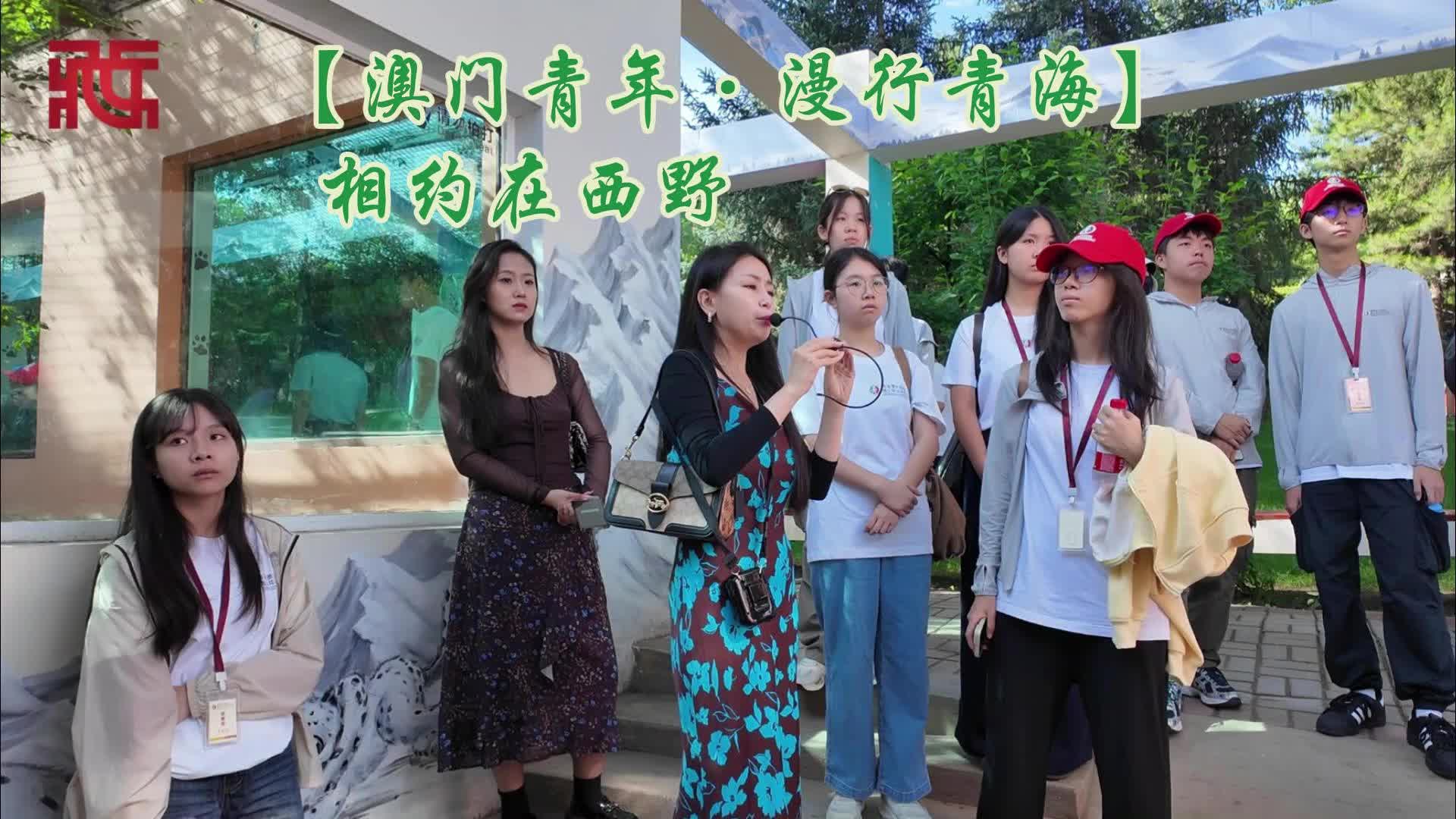 【澳门青年·漫行青海】相约在西野