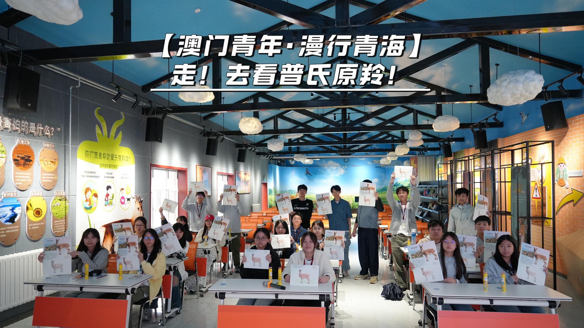 【澳门青年·漫行青海】走！去看普氏原羚！