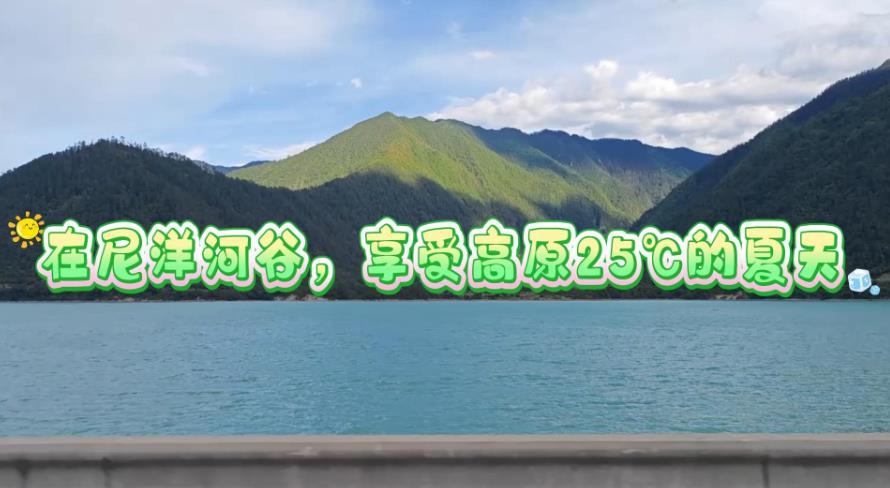 在尼洋河谷，享受高原25℃的夏天