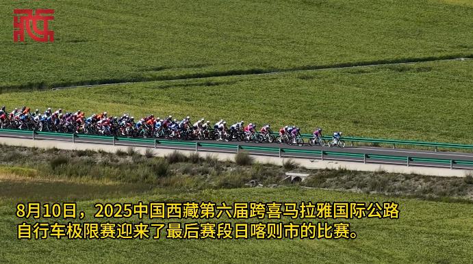 “西藏粮仓”日喀则：青稞田间上演“速度与浪漫”