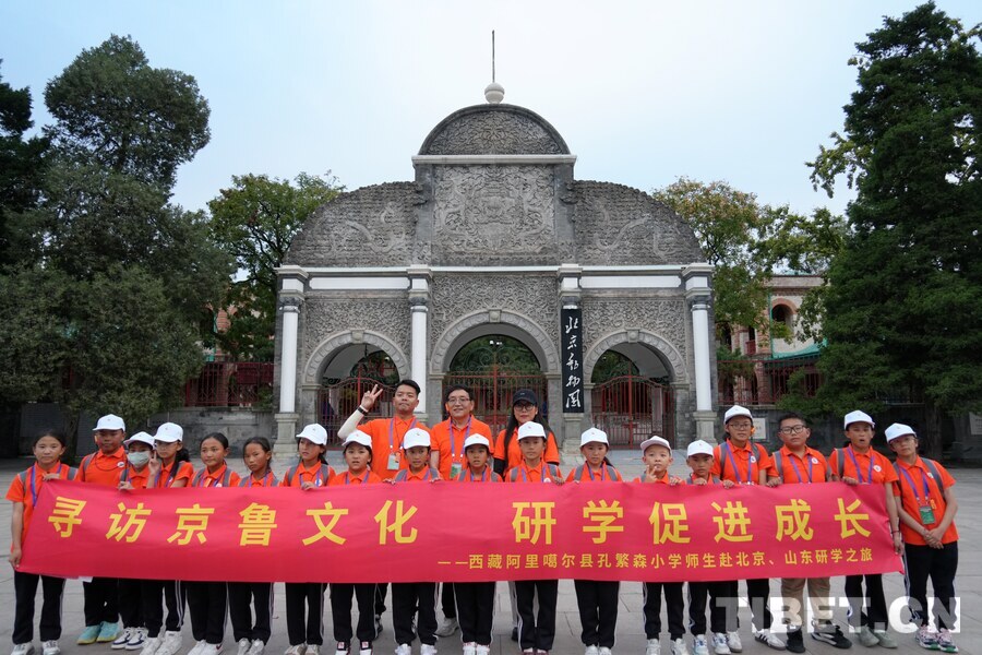 【繁星点点】来自阿里，我与海豚有个“约会”