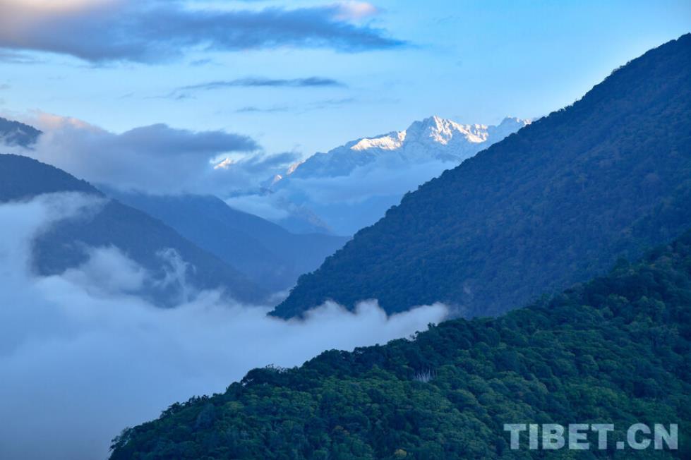 在墨脱观赏“天空之海”