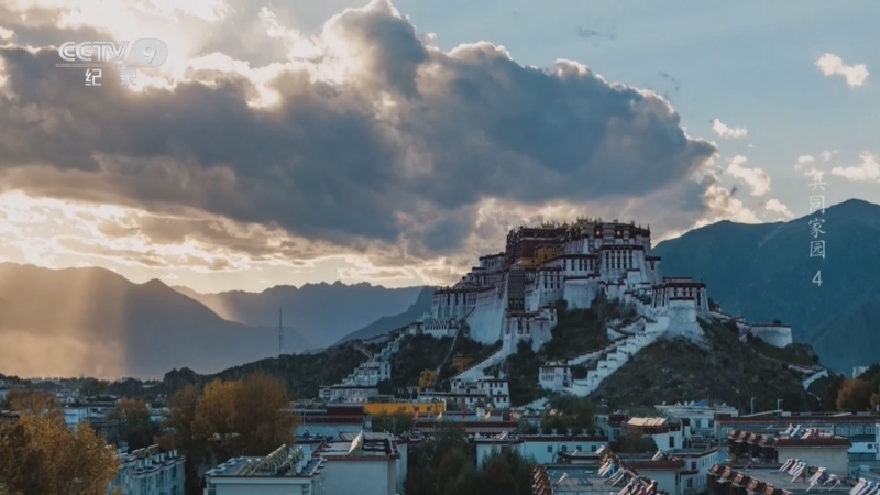 《共同家园》第4集 守护