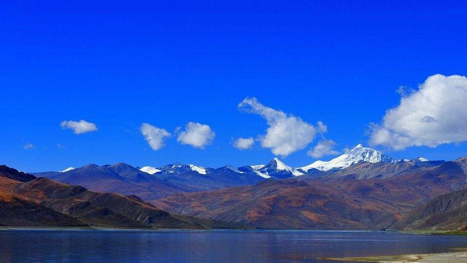 以过硬作风确保“十五五”开好局起好步