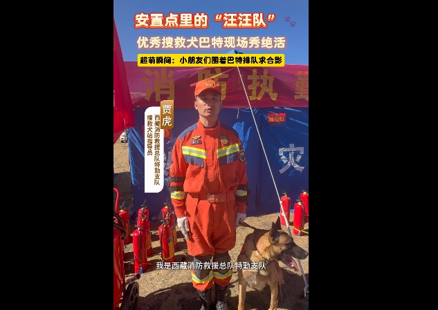 【巴青平安】安置点里的“汪汪队”