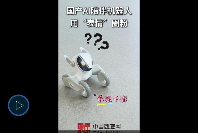 国产AI陪伴机器人：用表情现场圈粉
