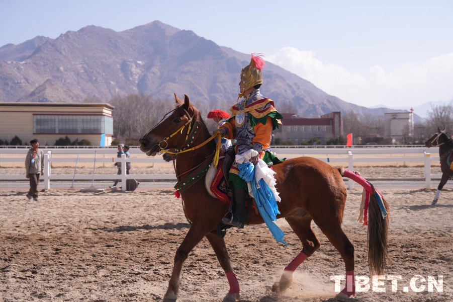 藏历初三赛马节精彩来袭！直击拉萨北郊赛马场上的“火马”狂想曲