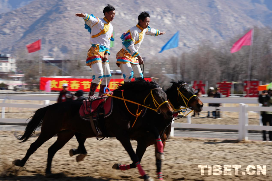 藏历初三赛马节精彩来袭！直击拉萨北郊赛马场上的“火马”狂想曲