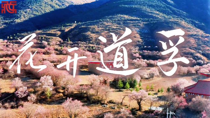 “杏会道孚，最美民居”，甘孜道孚向四海宾朋发出春天的邀约