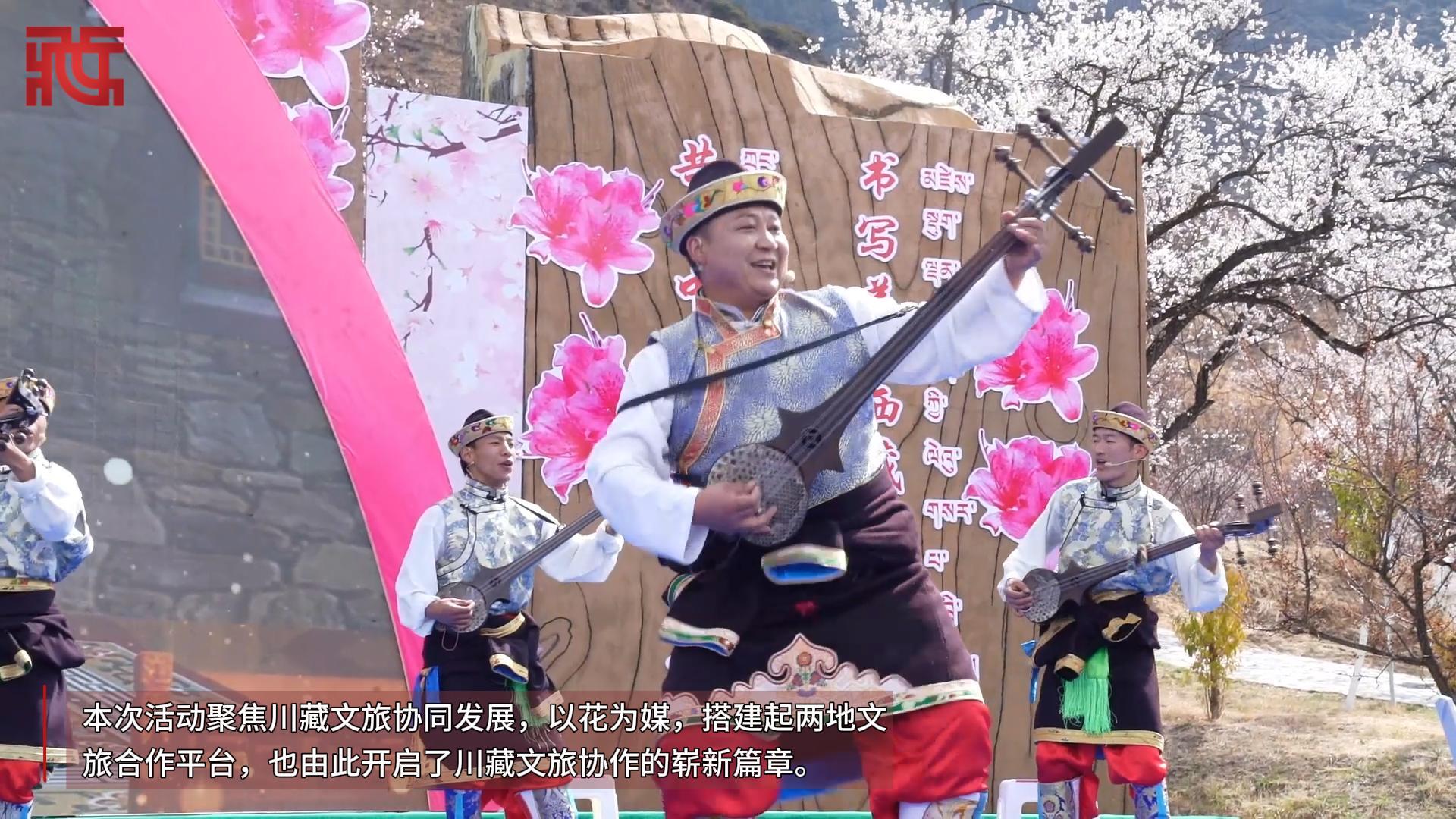 桃花为媒 藏彝同心——巴宜西昌文旅联盟共绘文化交流新图景