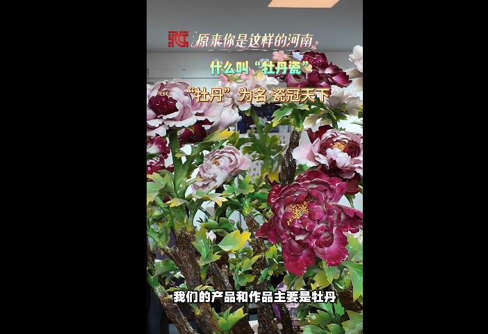 【豫韵千年】原来这就是洛阳“永不凋谢”的牡丹花
