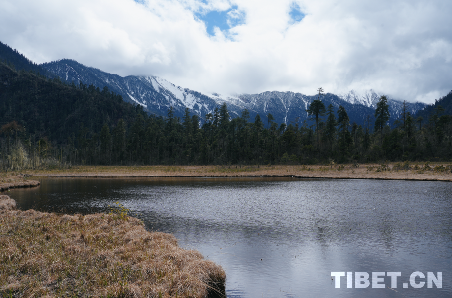 南伊沟：喜马拉雅深处的生态秘境