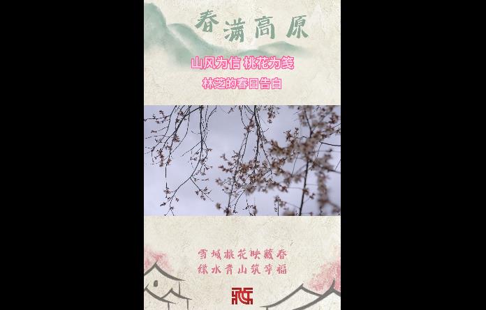 【春满高原】山风为信 桃花为笺：林芝的春日告白