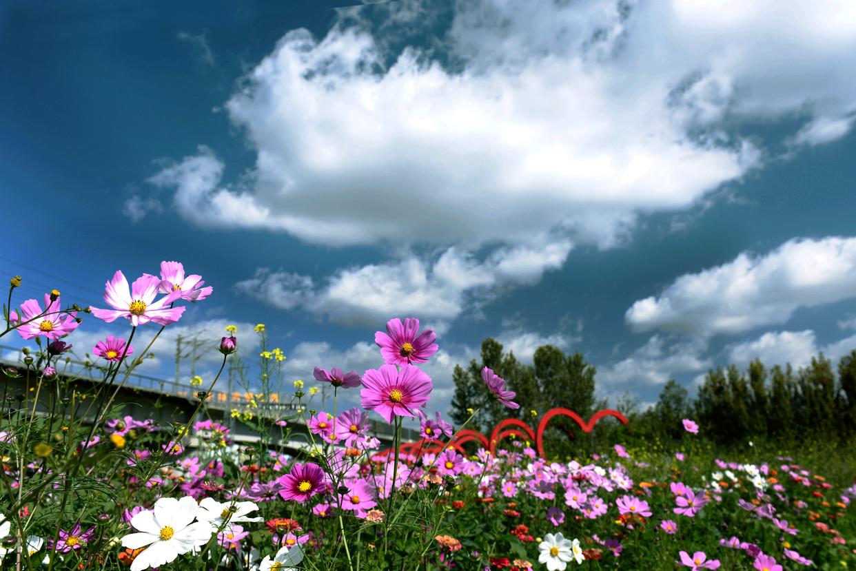 让民族团结进步之花常开长盛