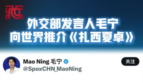 外交部发言人毛宁向世界推介《扎西夏卓》