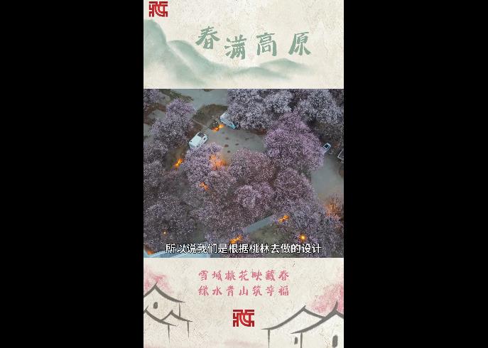 【春满高原】雅鲁藏布江畔桃林山居：以生态为笔 绘就林芝文旅富民新答卷