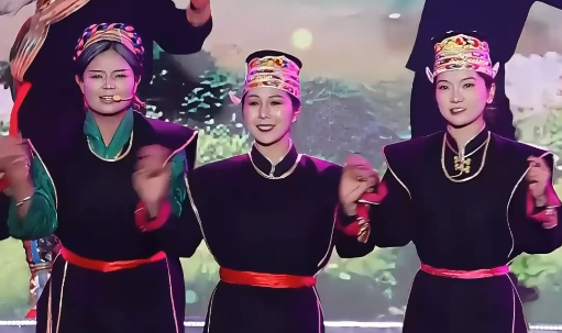 【西藏·赴春约】林芝桃花节开幕式精彩瞬间