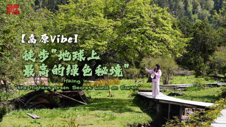 【高原Vibe】徒步“地球上最高的绿色秘境” | Hiking in "the Highest Green Secret Land on Earth"