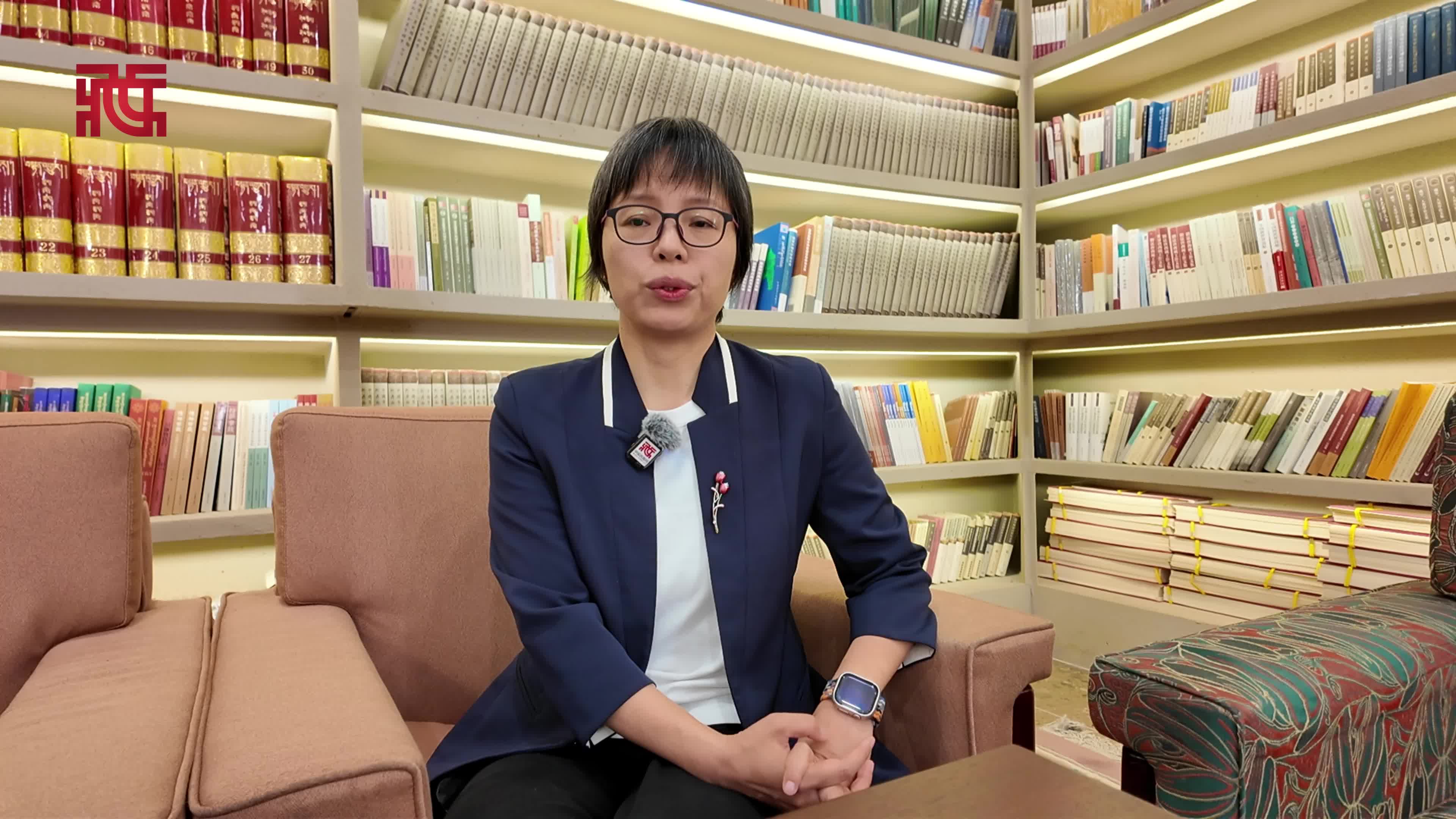 欧洲议会恶意抹黑中国民族政策 源于其自身焦虑