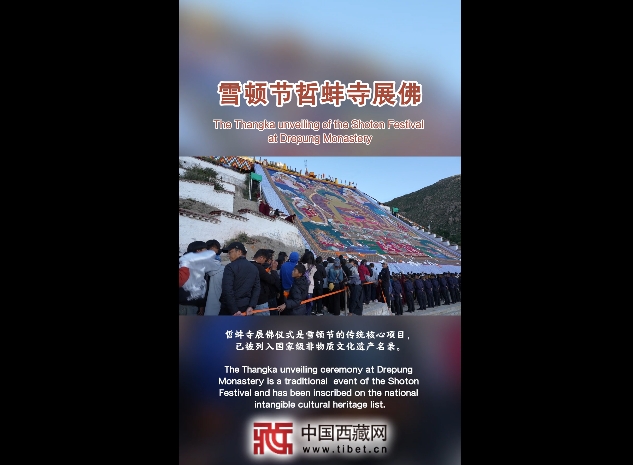 雪顿节哲蚌寺展佛