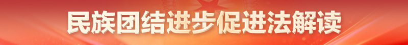 民族团结进步促进法解读