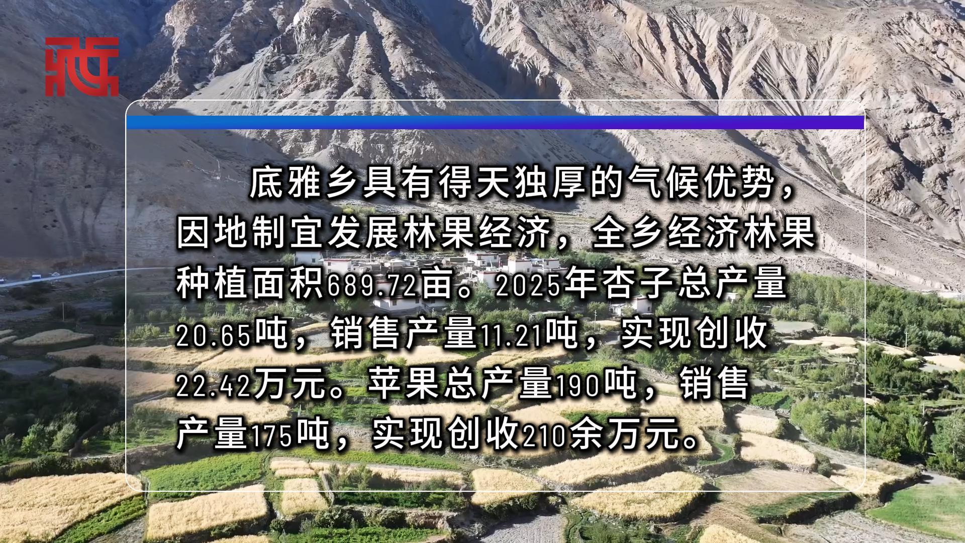 阿里札达底雅乡：林果飘香促增收