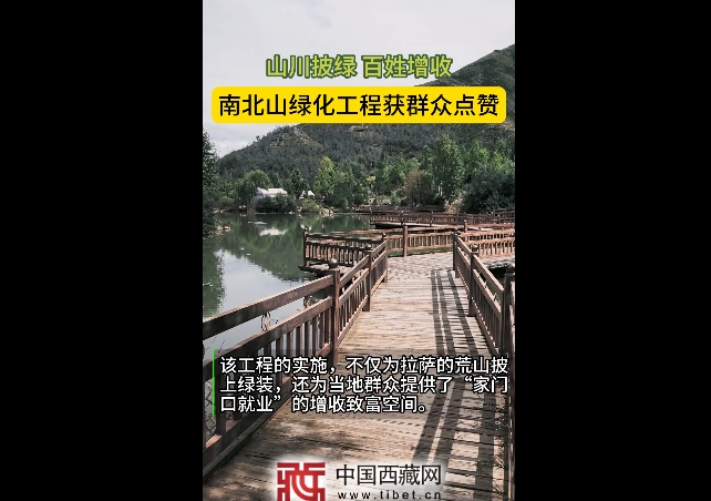 山川披绿，百姓增收：南北山绿化工程获群众点赞！