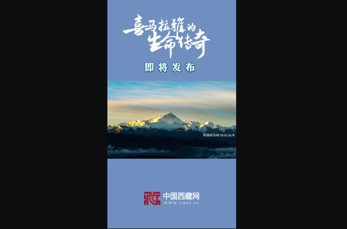 《喜马拉雅的生命传奇》纪录片即将发布